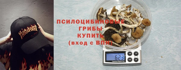 дживик Аркадак