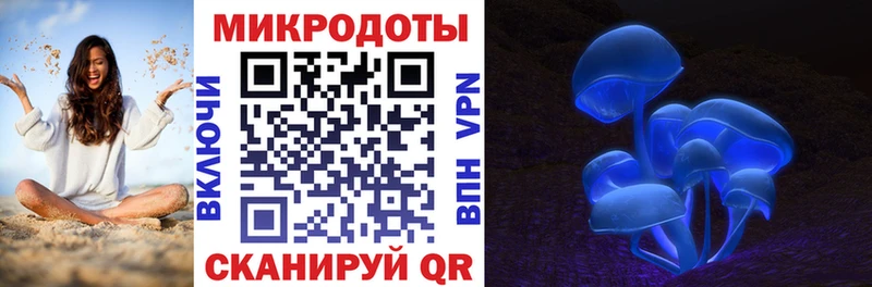сайты даркнета состав Черепаново Псилоцибиновые грибы Psilocybe наркошоп